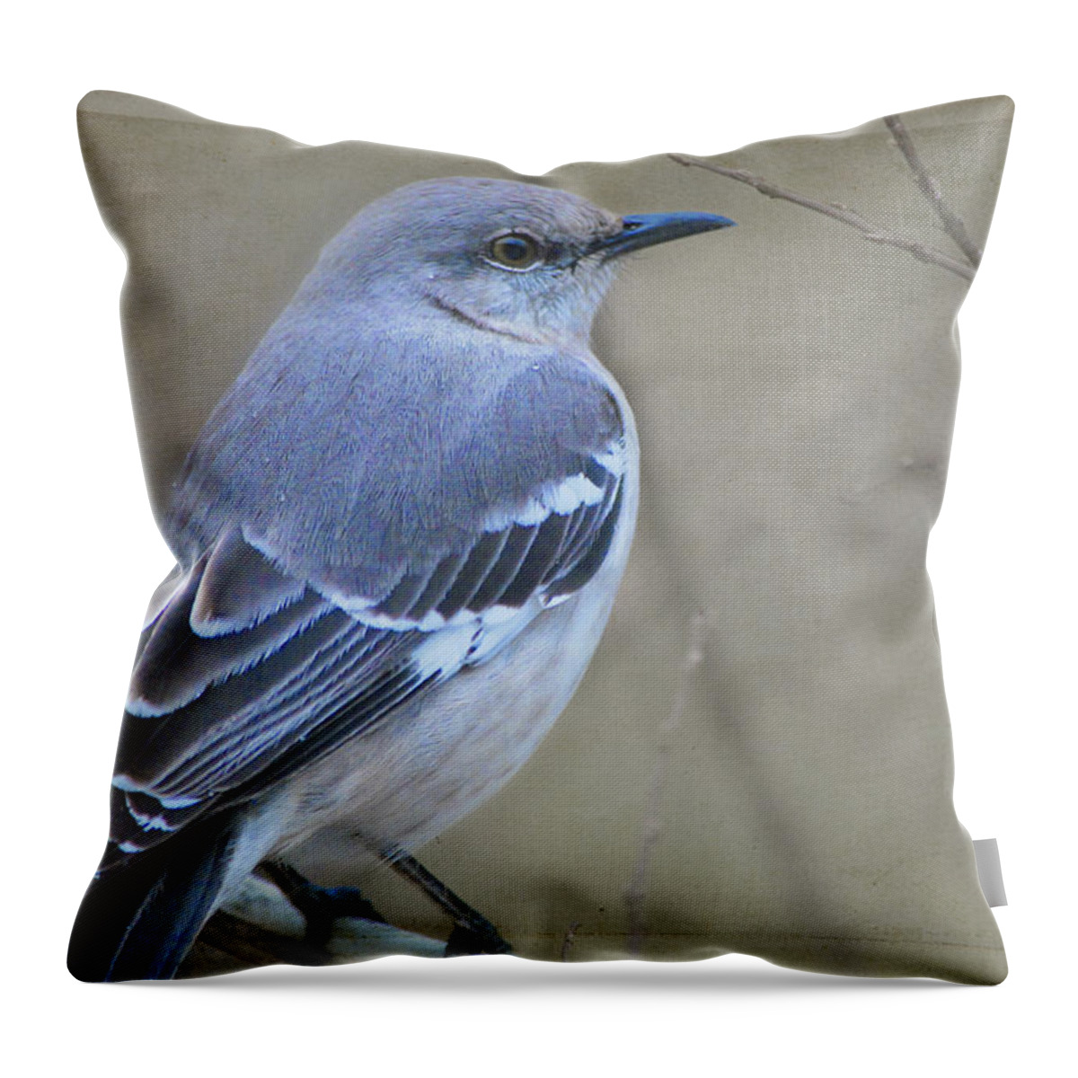 Bird Throw Pillow featuring the photograph Blue Bird by Linda Segerson