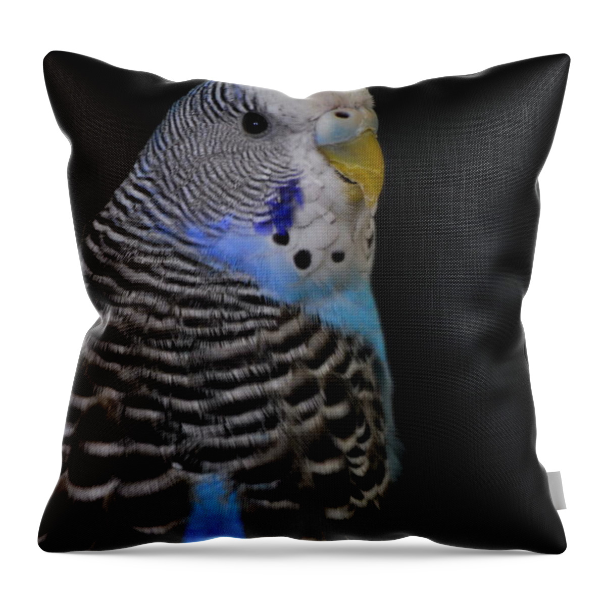 Budgie Throw Pillow featuring the photograph Blue Budgie Parakeet by Nathan Abbott