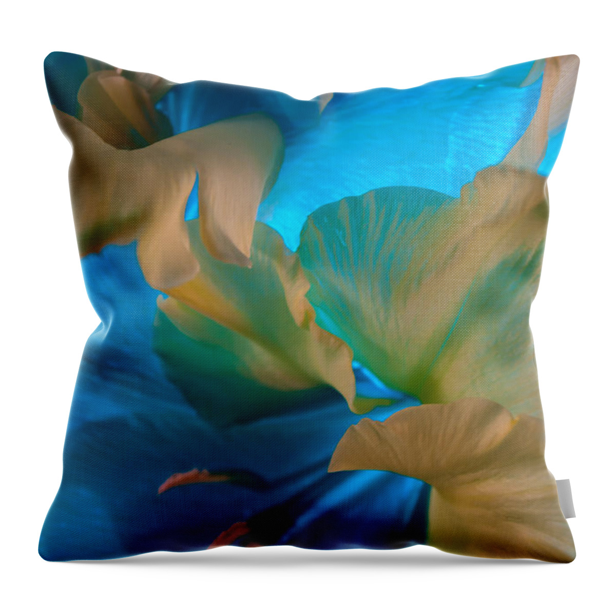 Blue Throw Pillow featuring the photograph Blue Danube by Bobby Villapando