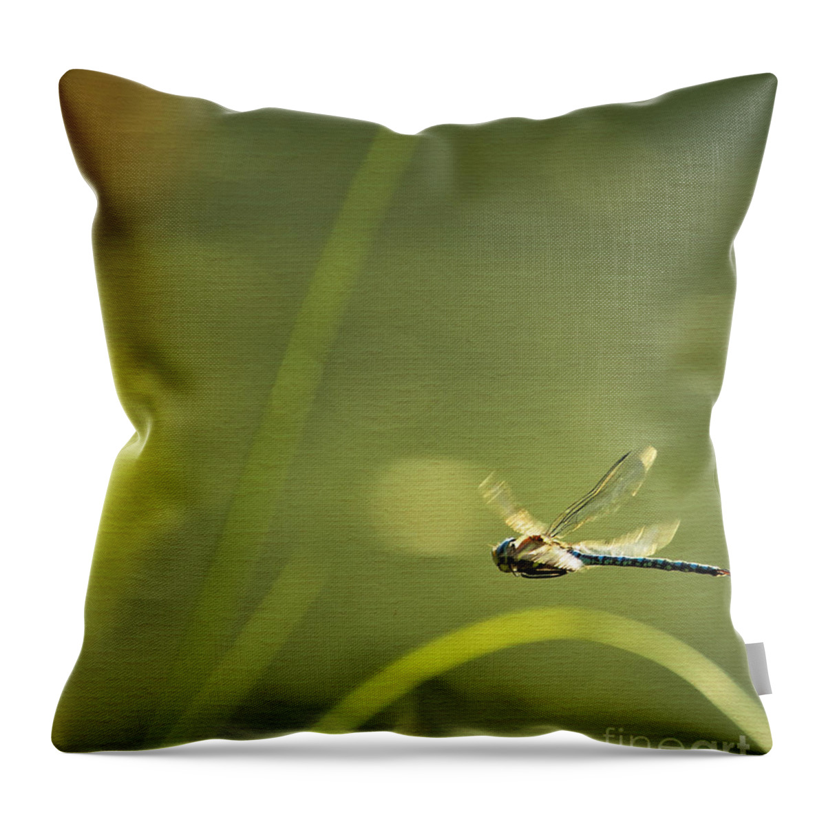 Blue Darner Throw Pillow featuring the photograph Blue Darner Dragonfly - Green Water and Light by Belinda Greb