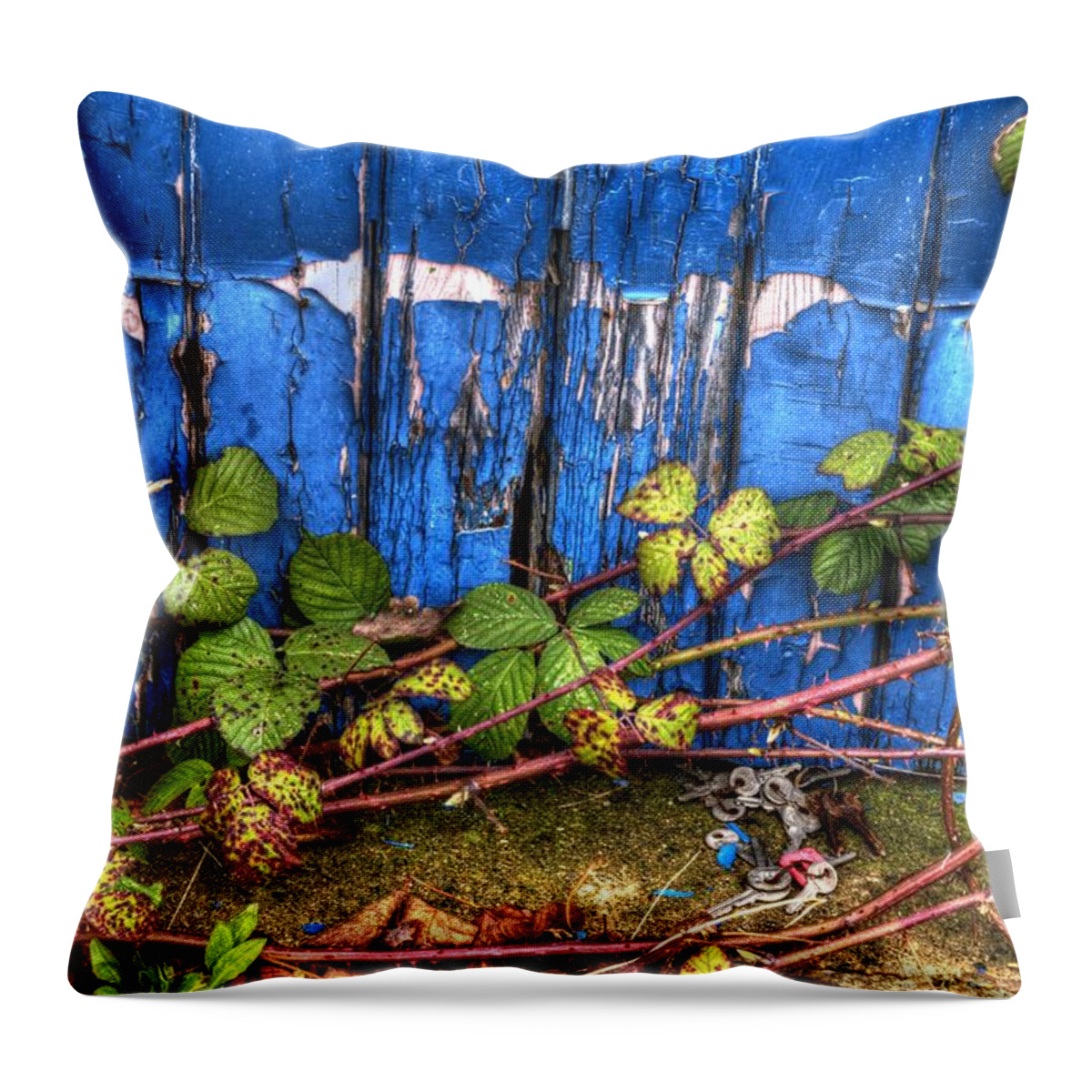 Blue Throw Pillow featuring the photograph Blue door by Spikey Mouse Photography