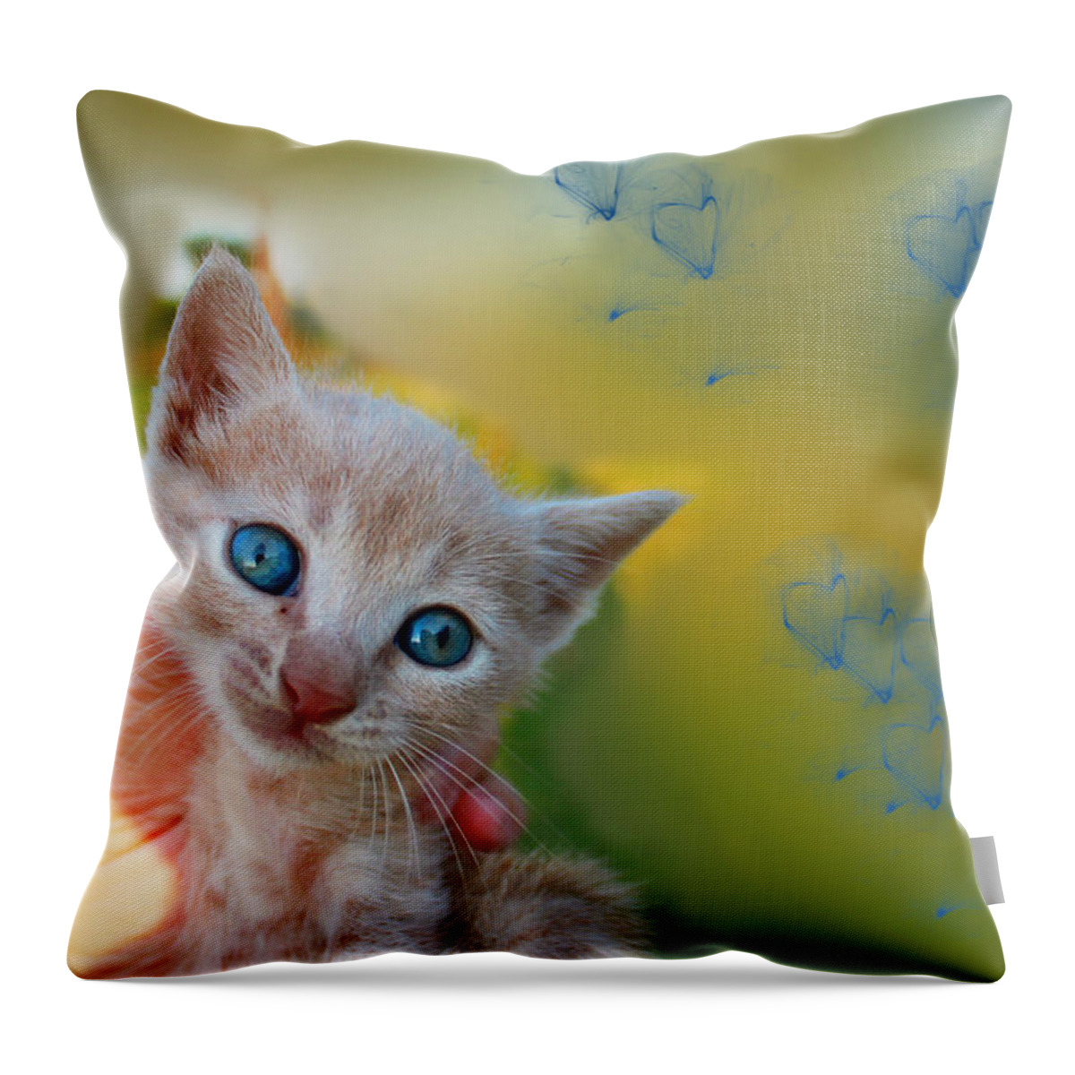Augusta Stylianou Throw Pillow featuring the photograph Blue Eyes Kitten by Augusta Stylianou