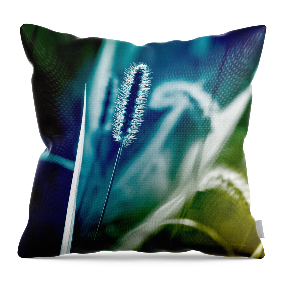Grass Throw Pillow featuring the photograph Blue Grass Abstract by Christina Rollo