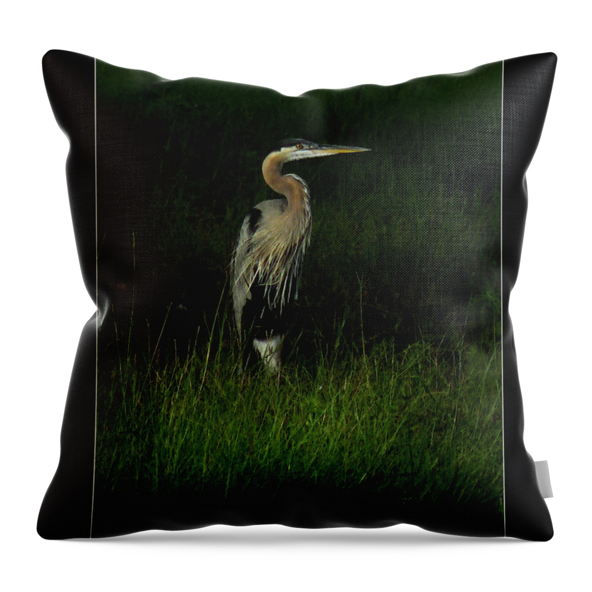 Nature Throw Pillow featuring the photograph Blue Heron in Grass by Deborah Smith