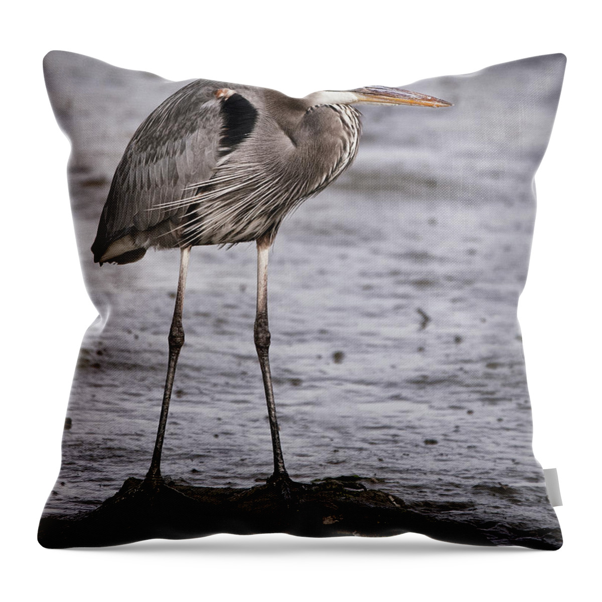 Blue Heron Throw Pillow featuring the photograph Blue Heron by Joe Granita