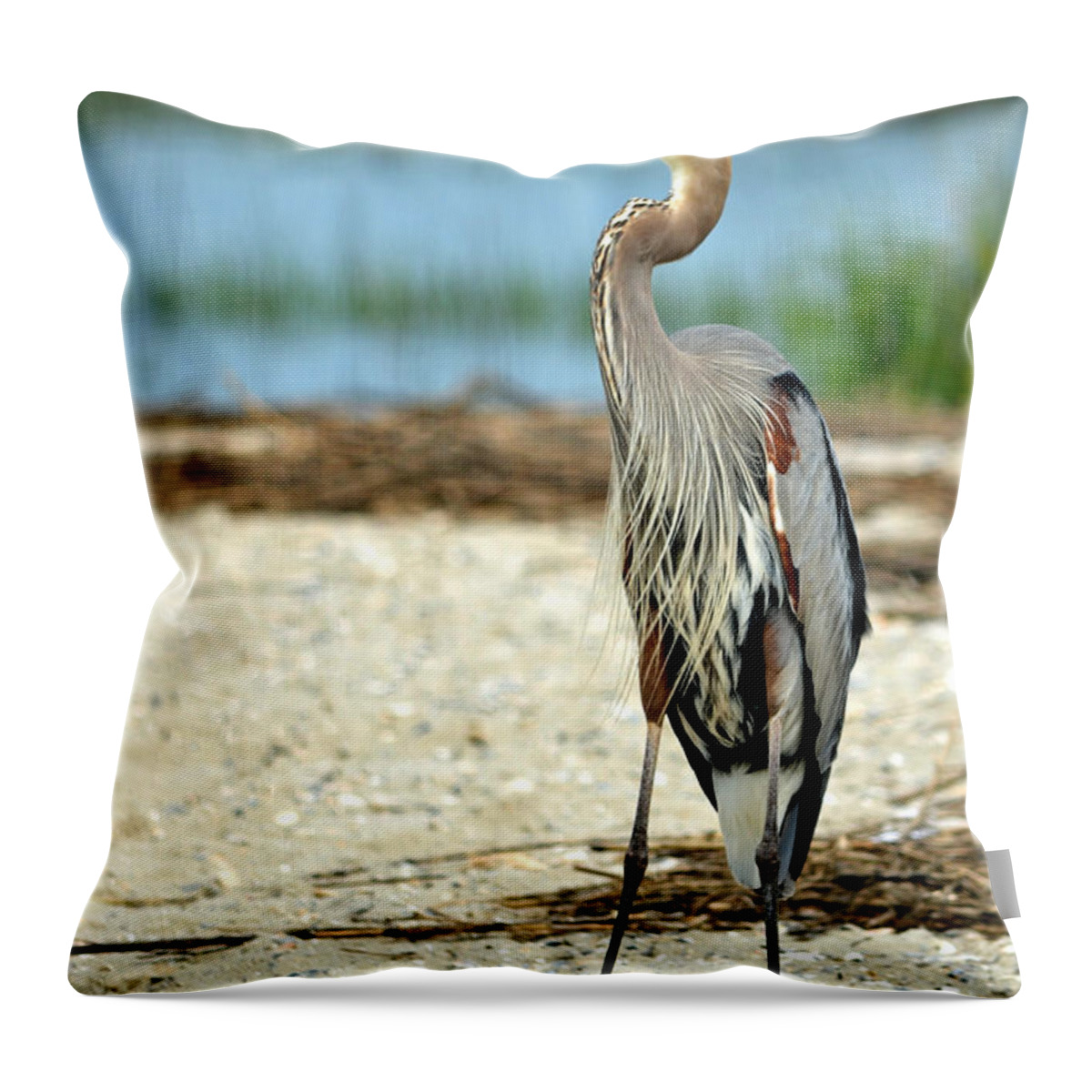 Blue Heron Throw Pillow featuring the photograph Blue Heron Portrait by Sandi OReilly