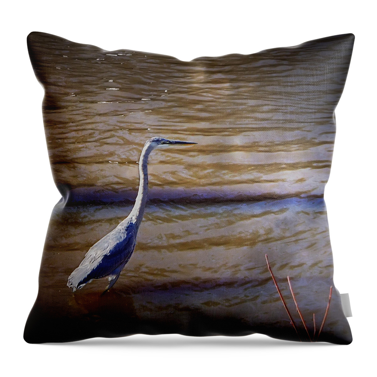 2d Throw Pillow featuring the photograph Blue Heron - Shallow Water by Brian Wallace