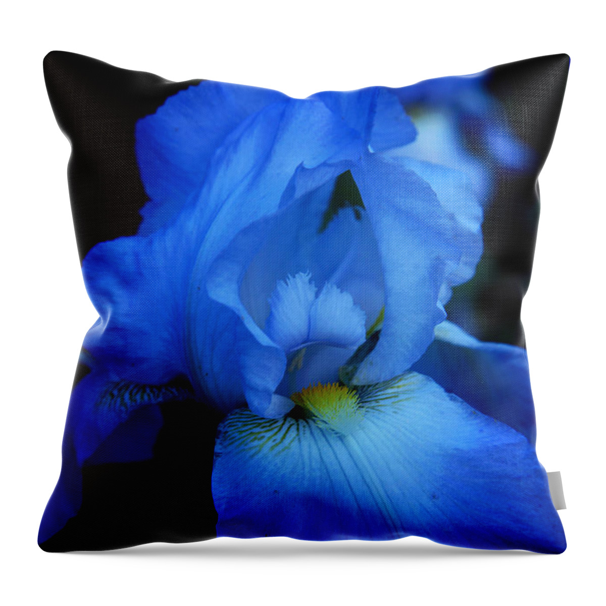 Iris Throw Pillow featuring the photograph Blue Iris by Toni Hopper