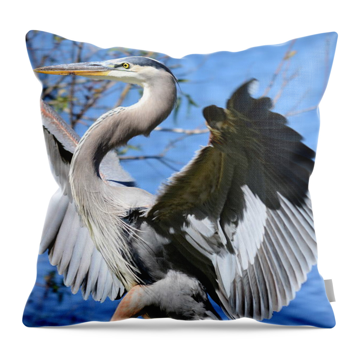 great Blue Heron Throw Pillow featuring the photograph Blue on Blue by Susan Molnar