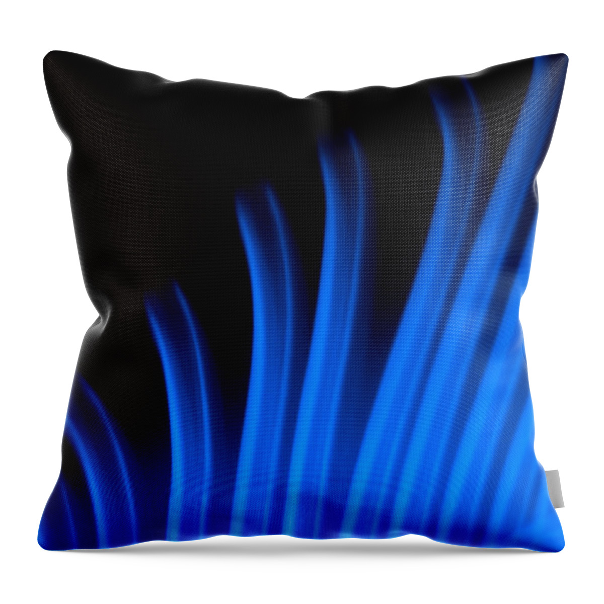 Art Throw Pillow featuring the photograph Blue Palm by Darryl Dalton