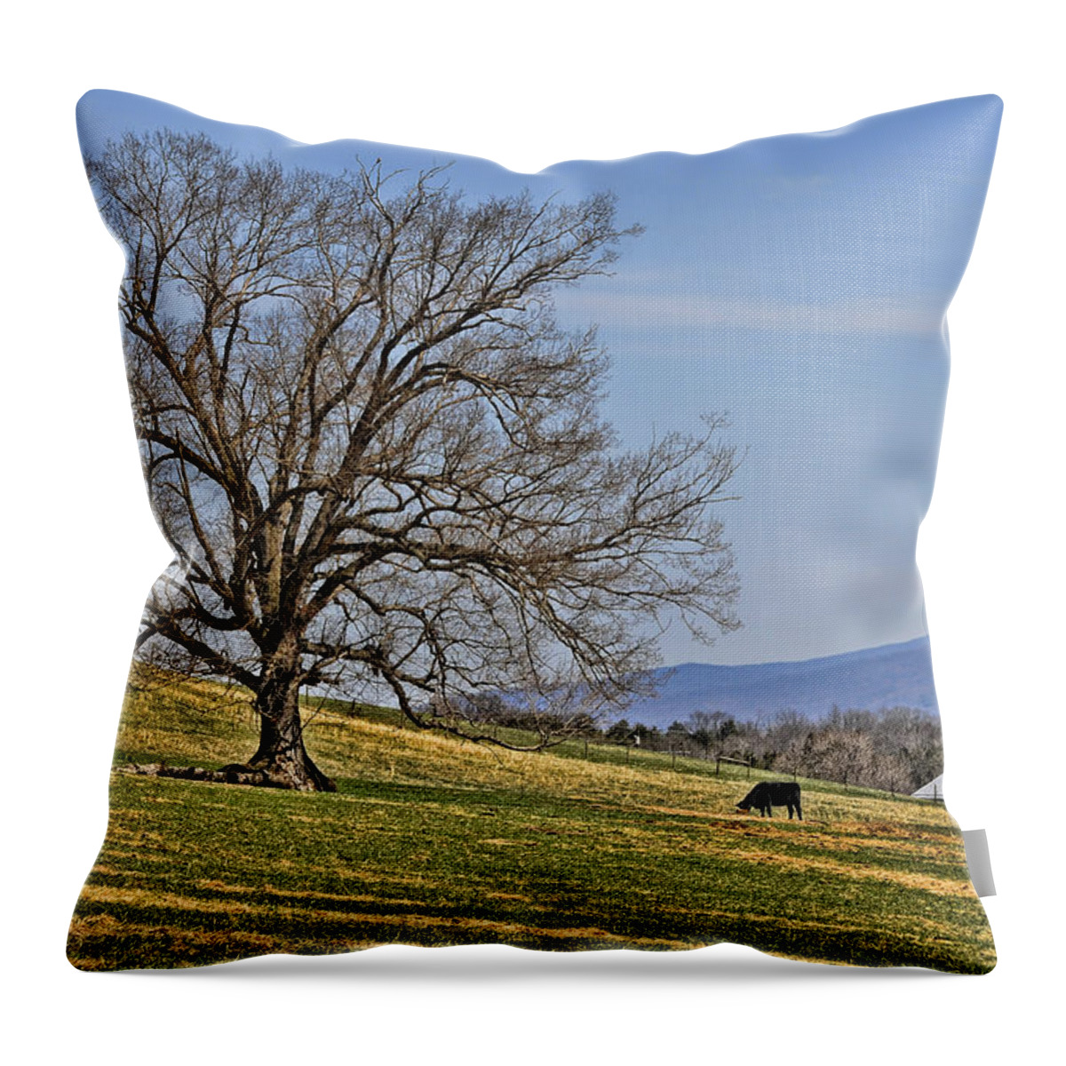 Blue Ridge Mountains Throw Pillow featuring the photograph Blue Ridge Farm by Lara Ellis