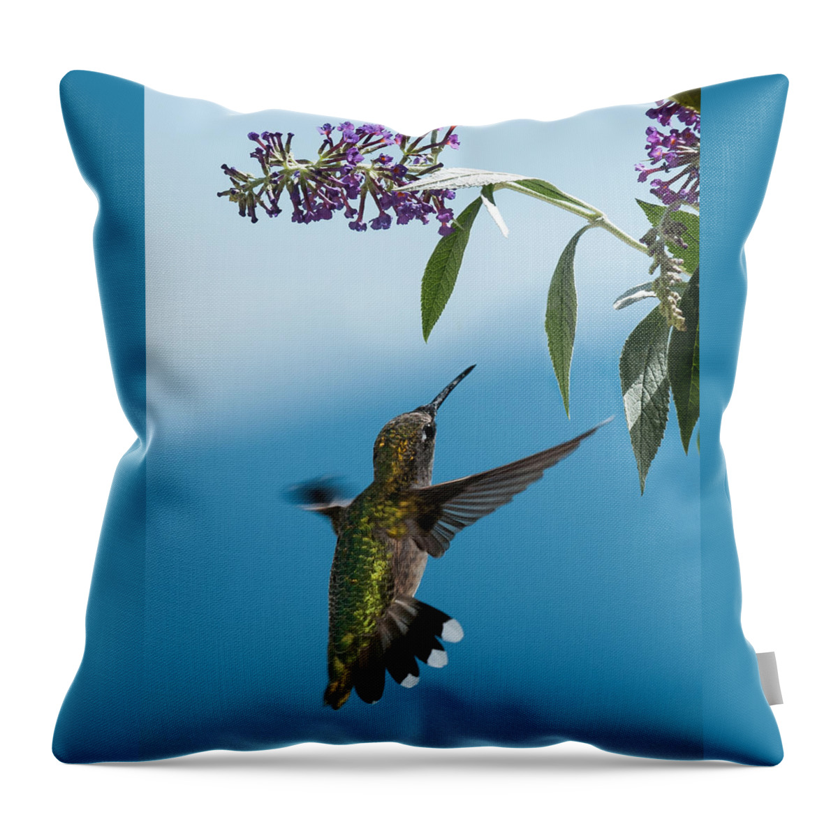 Hummingbird Throw Pillow featuring the photograph Blue Ridge Hummingbird by Lara Ellis