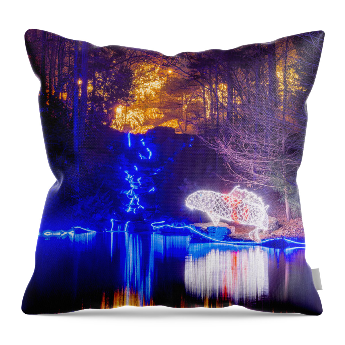 Garvan Throw Pillow featuring the photograph Blue River - crop by Daniel George