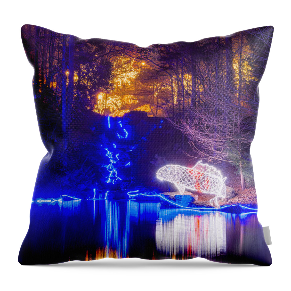 Garvan Throw Pillow featuring the photograph Blue River - full height by Daniel George
