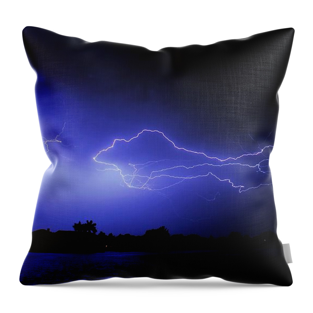 Powerful Throw Pillow featuring the photograph Blue shark by Quinn Sedam