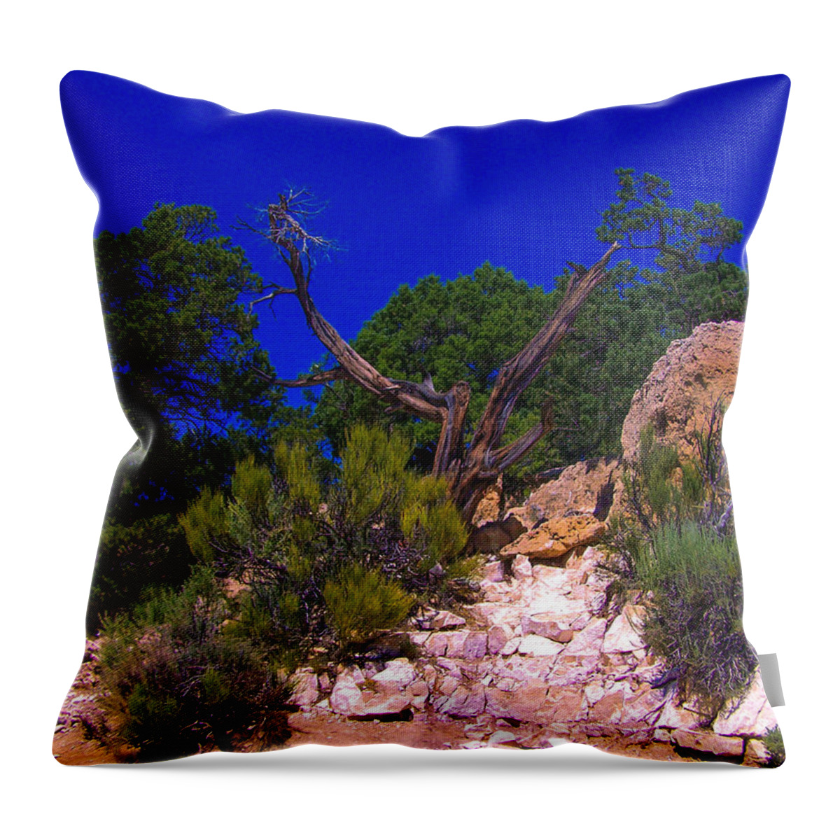 Grand Canyon Throw Pillow featuring the photograph Blue Sky Over the Canyon by Dany Lison