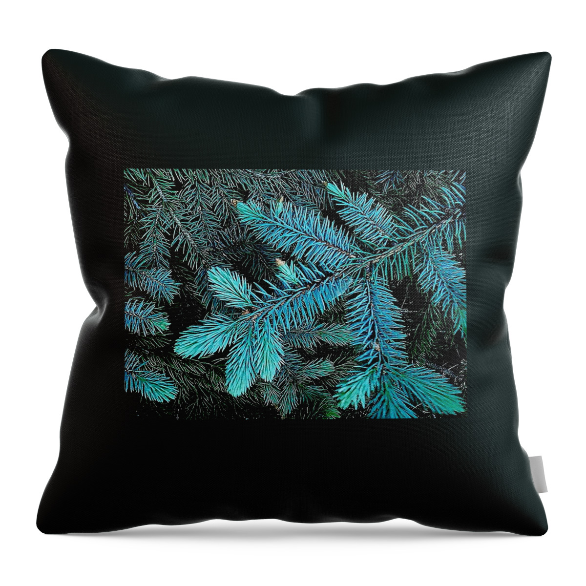 Abstract Throw Pillow featuring the photograph Blue Spruce by Daniel Thompson