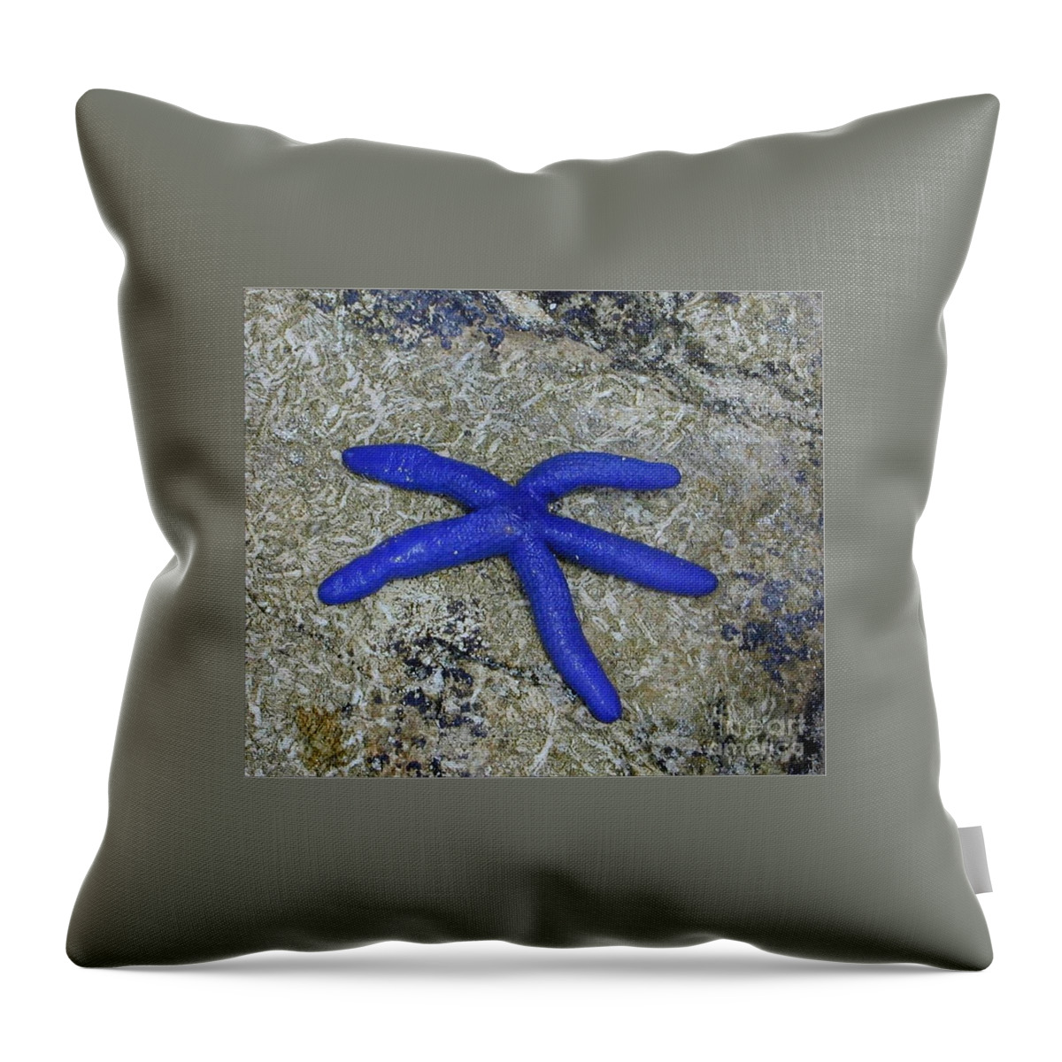 Starfish Throw Pillow featuring the photograph Blue Starfish by Lew Davis