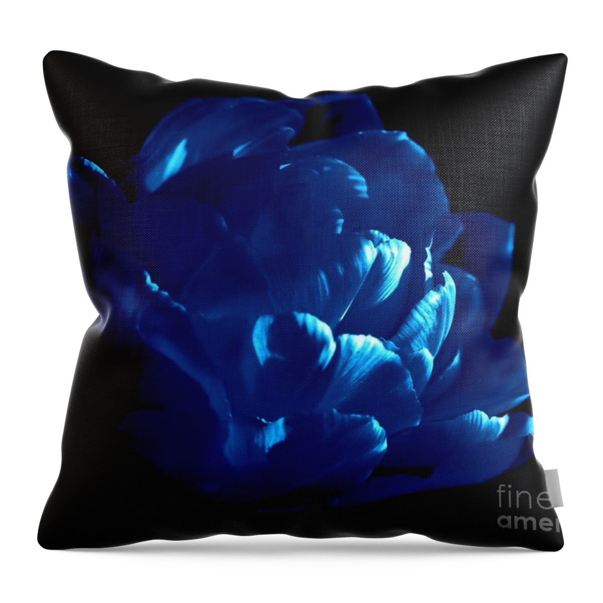Tulip Throw Pillow featuring the photograph Blue Tulip by Sylvie Leandre