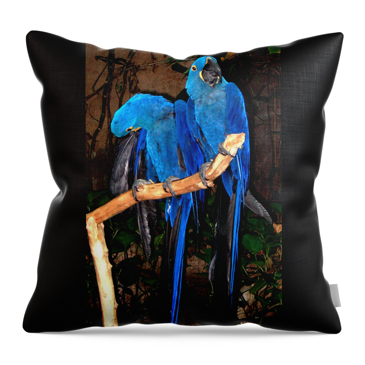 Blue Throw Pillow featuring the photograph Blue Velvet by Bertie Edwards