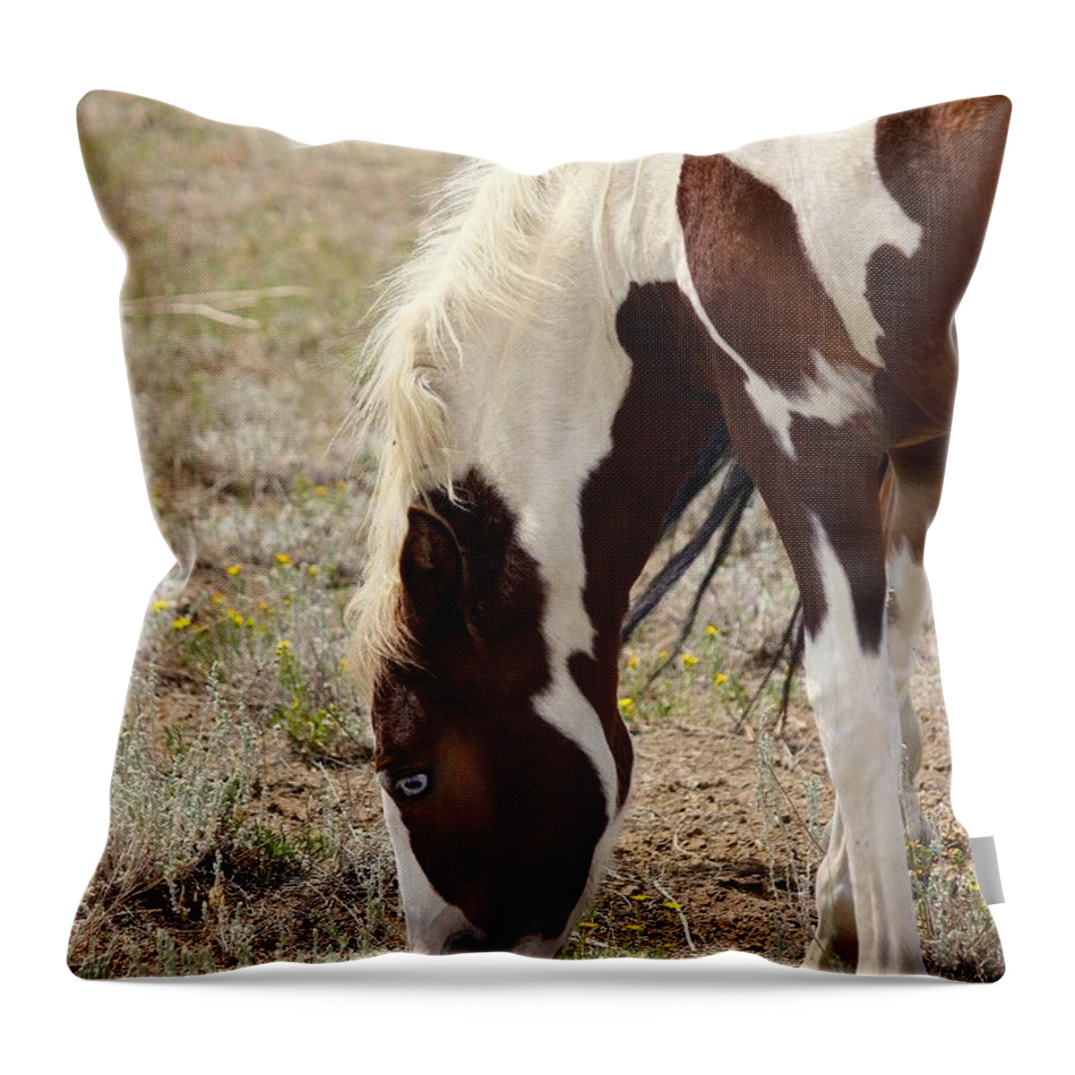 Horse Throw Pillow featuring the photograph Blue by Veronica Batterson