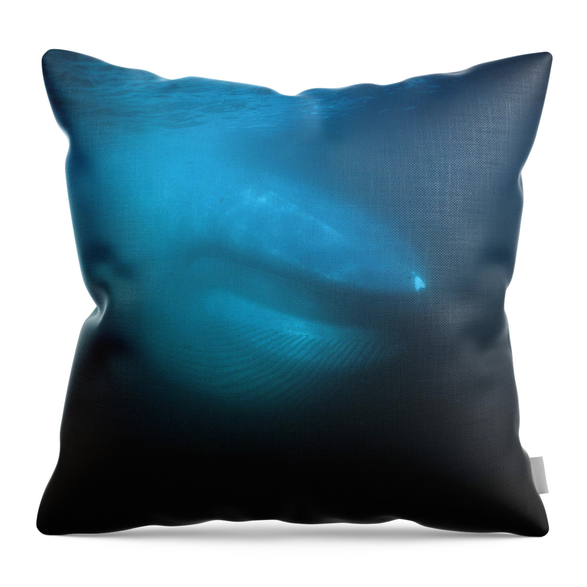 Feb0514 Throw Pillow featuring the photograph Blue Whale Filter Feeding Sea Of Cortez by Hiroya Minakuchi