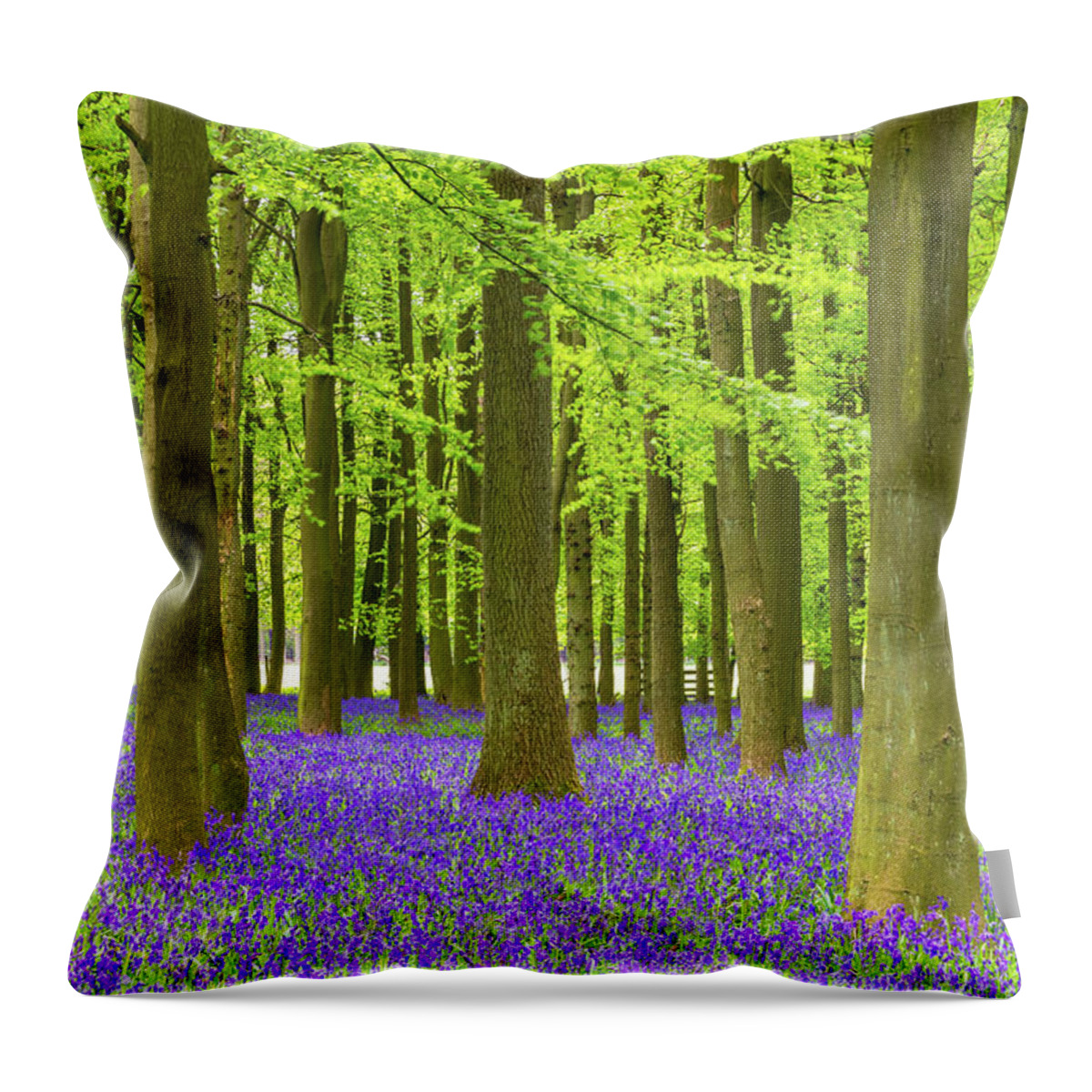 Scenics Throw Pillow featuring the photograph Bluebell And Beech Tree Forest by Chrishepburn
