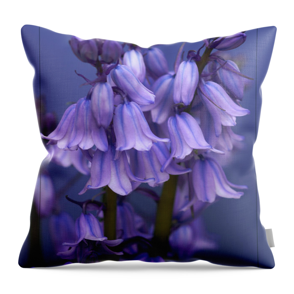 Bluebells Throw Pillow featuring the photograph Bluebell Days by David Birchall