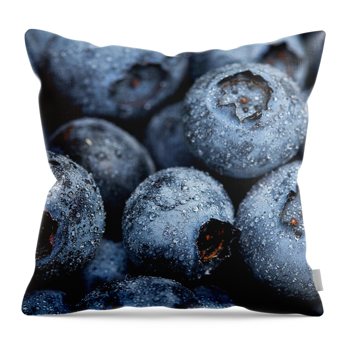 Surrey Throw Pillow featuring the photograph Blueberries Fruits by Kevin Van Der Leek Photography