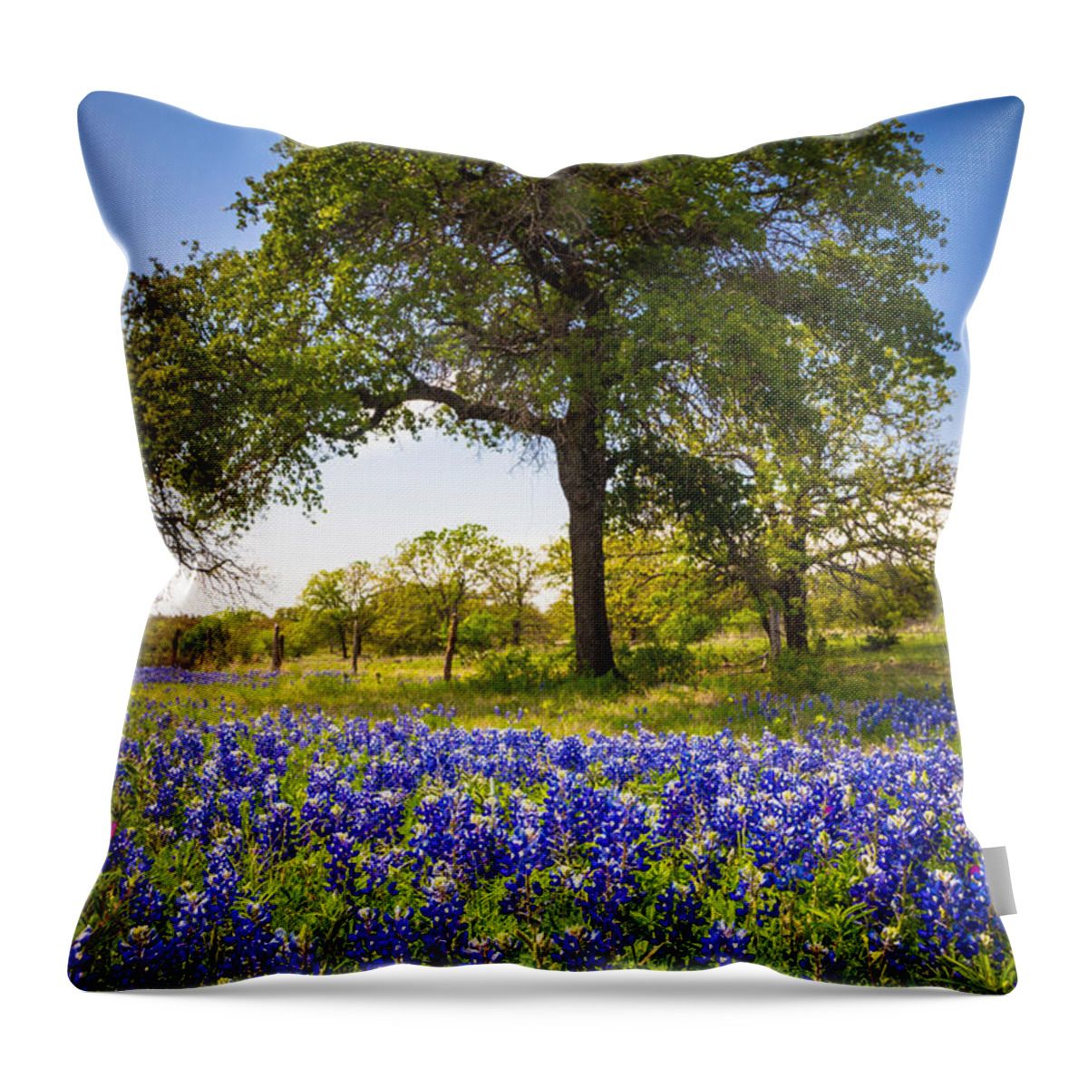 America Throw Pillow featuring the photograph Bluebonnet Meadow by Inge Johnsson