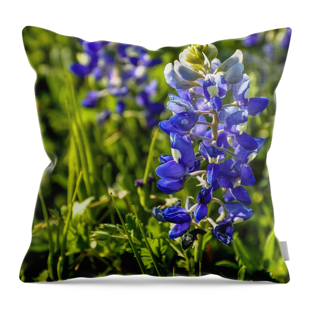 Bluebonnet Throw Pillow featuring the photograph Bluebonnet by Peggy Blackwell