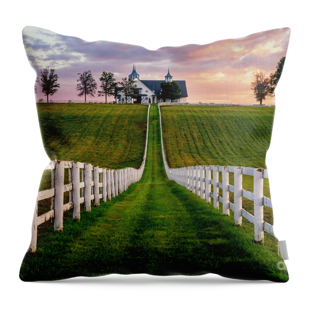 Kentucky Throw Pillow featuring the photograph Bluegrass Farm by Anthony Heflin