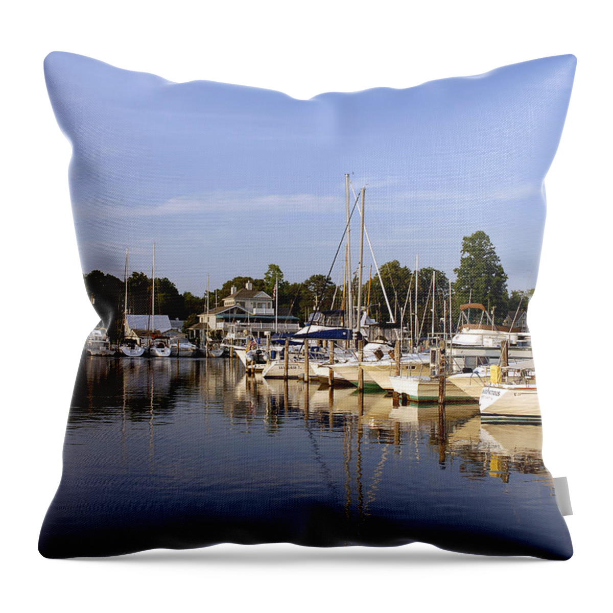 Landscape Throw Pillow featuring the photograph Bluer than blue by Sami Martin