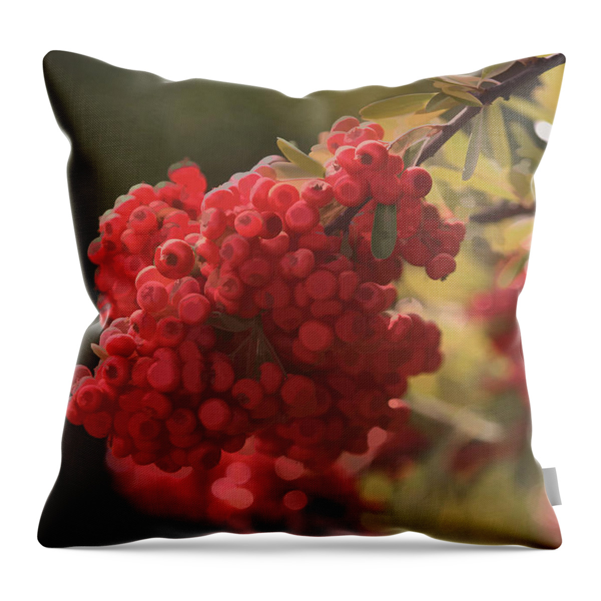 Interior Design Art Throw Pillow featuring the photograph Blushing Berries by Kandy Hurley