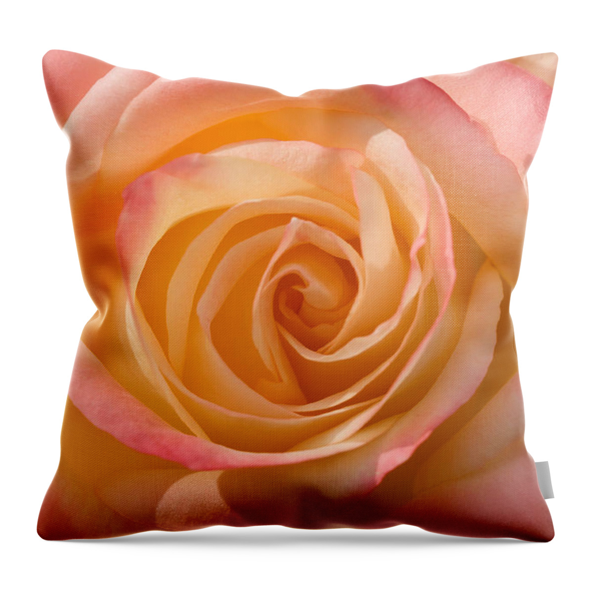 Rose Throw Pillow featuring the photograph Blushing Rose by Sarah Schroder