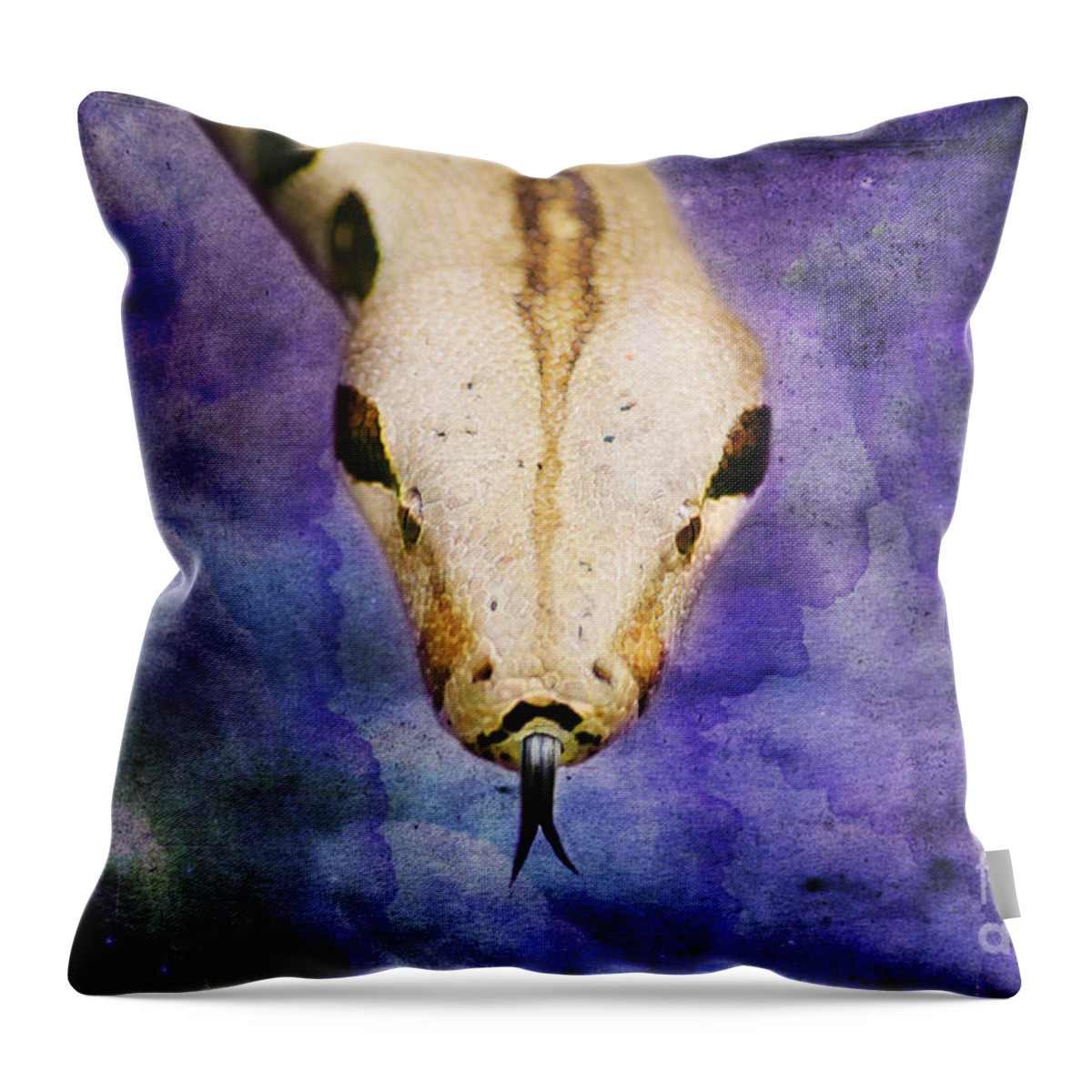 Boa Throw Pillow featuring the digital art Boa Snake by Lisa Redfern