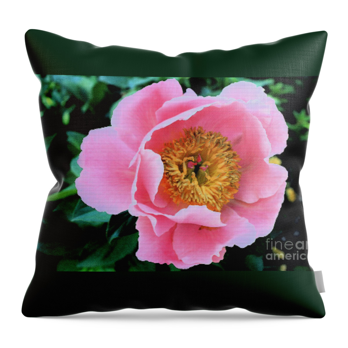 Peony Throw Pillow featuring the photograph Bodacious Peony by Barbara Dean