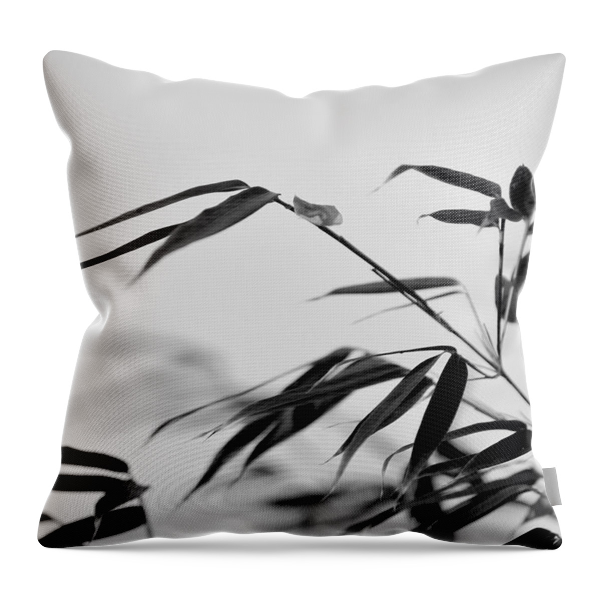 Bamboo Throw Pillow featuring the photograph Bokeh Bamboo by Nathan Abbott
