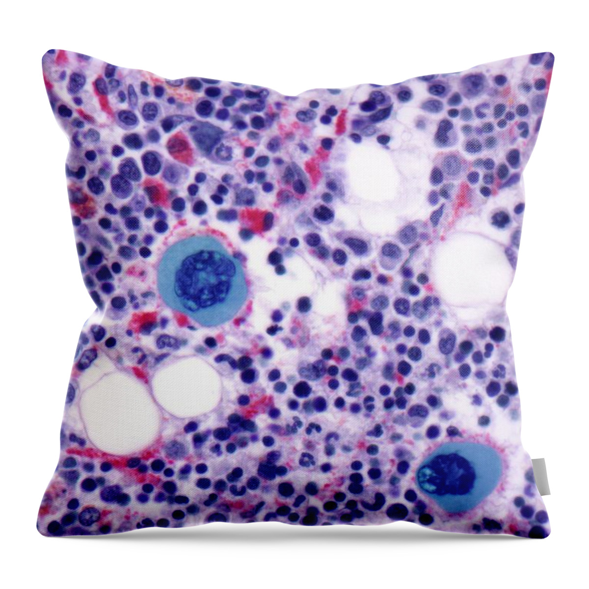 Anatomy Throw Pillow featuring the digital art Bone Marrow, Light Micrograph by Science Photo Library - Steve Gschmeissner