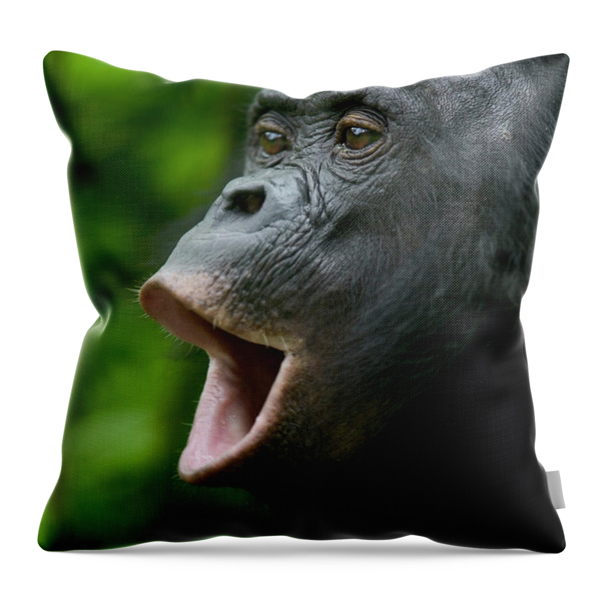Jh Throw Pillow featuring the photograph Bonobo Female Calling by Cyril Ruoso