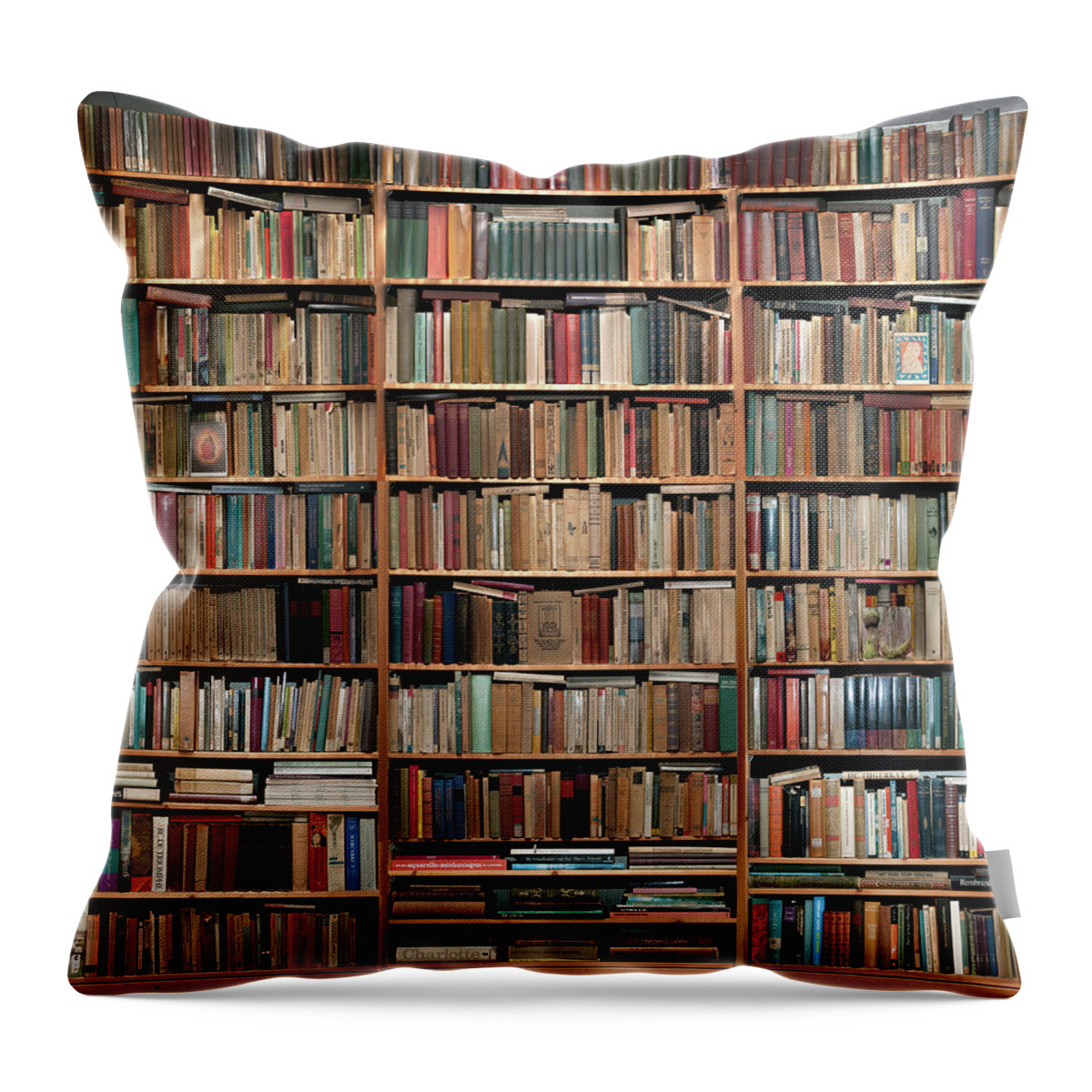 Netherlands Throw Pillow featuring the photograph Books by Image By Monique Van Der Lint