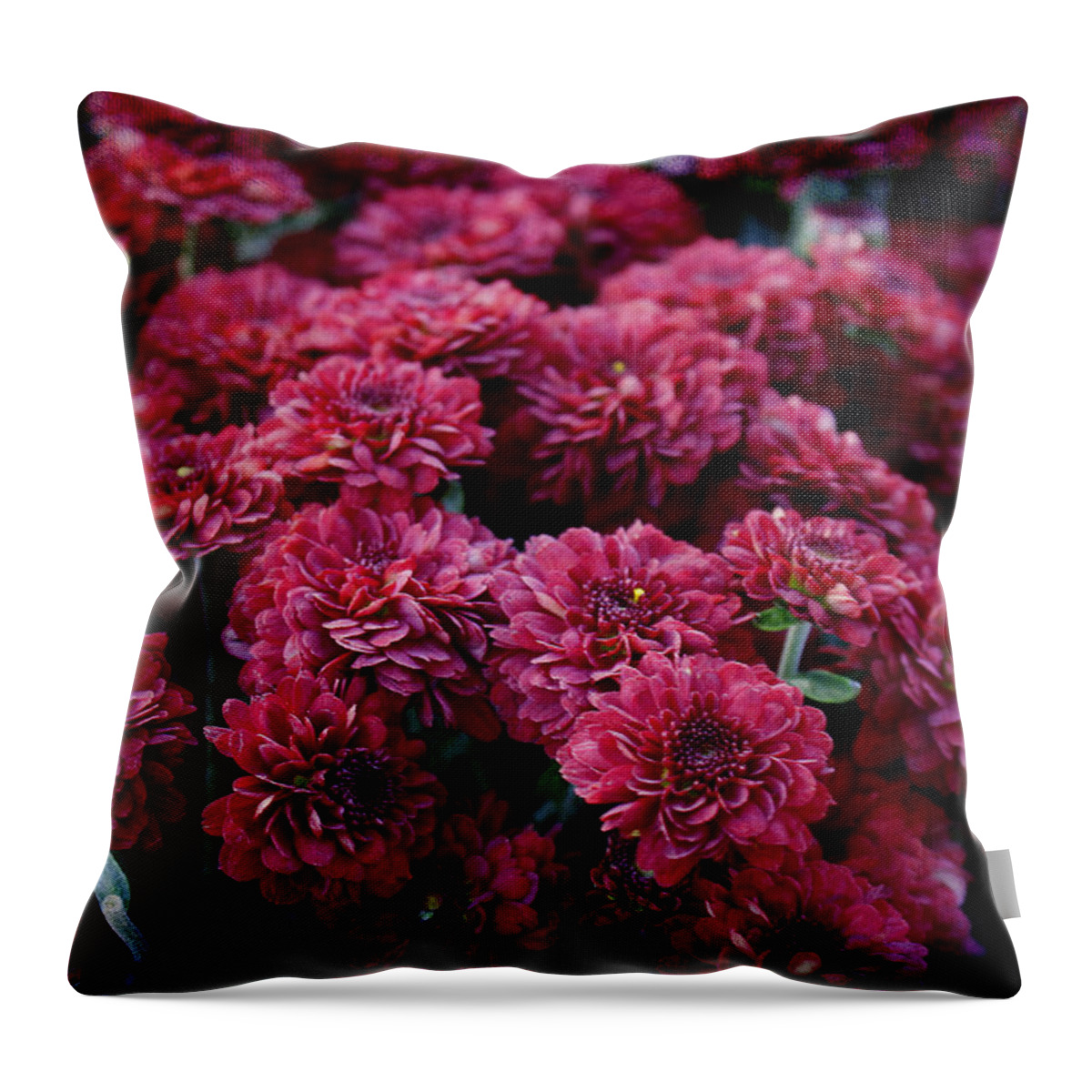 Red Mums Throw Pillow featuring the photograph Bordo in Nature by Milena Ilieva
