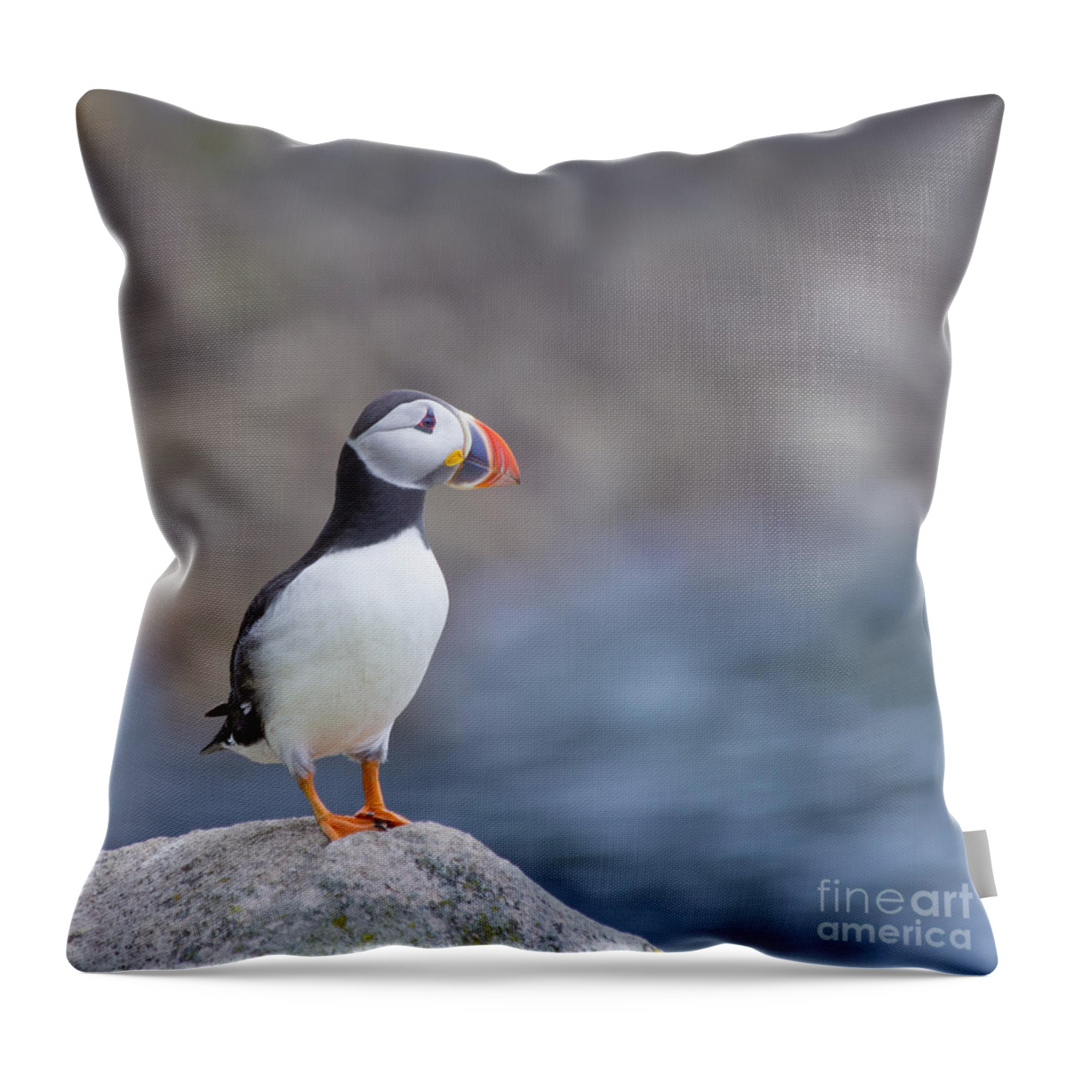 Puffin Throw Pillow featuring the photograph Born Free by Evelina Kremsdorf