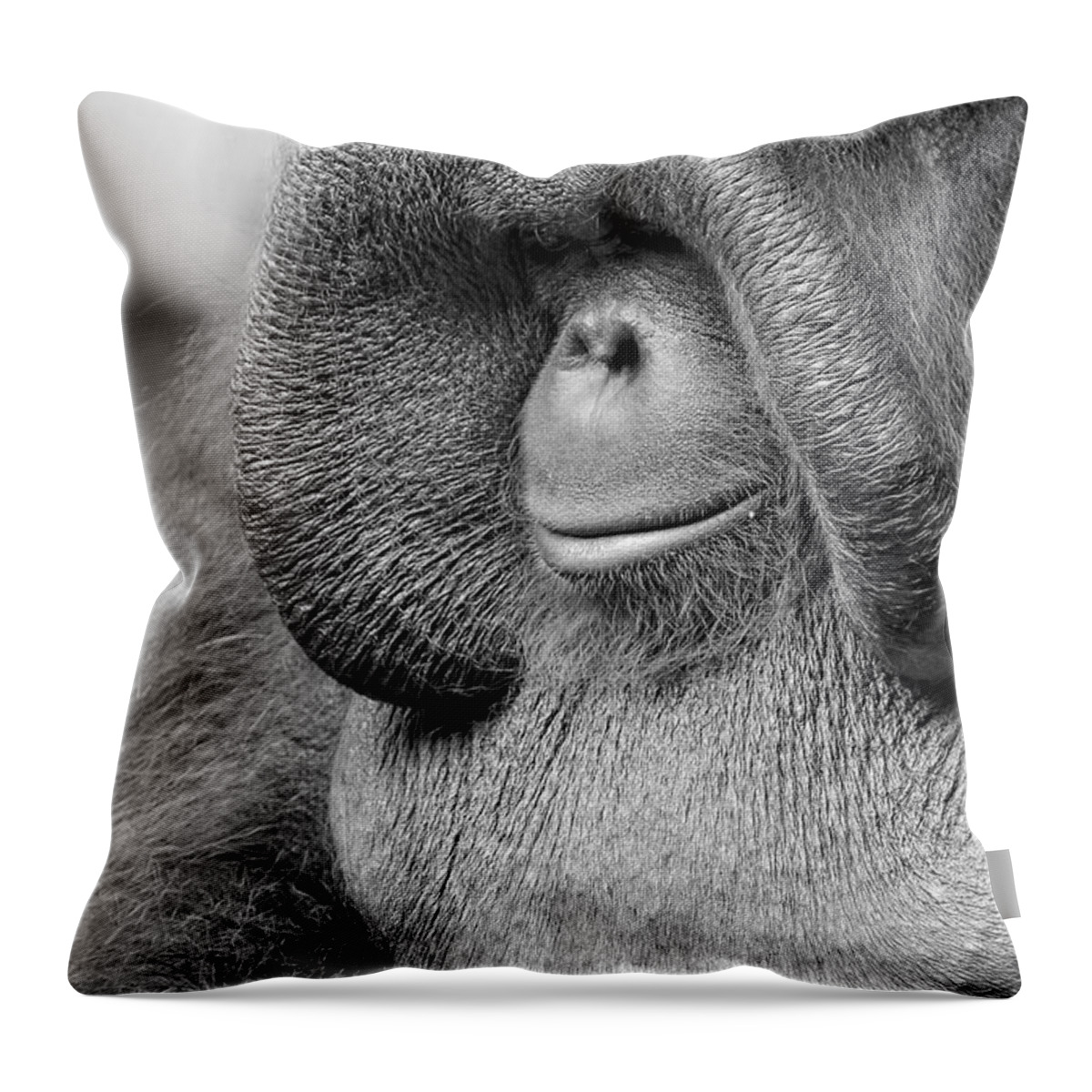 Orangutan Throw Pillow featuring the photograph Bornean Orangutan V by Lourry Legarde