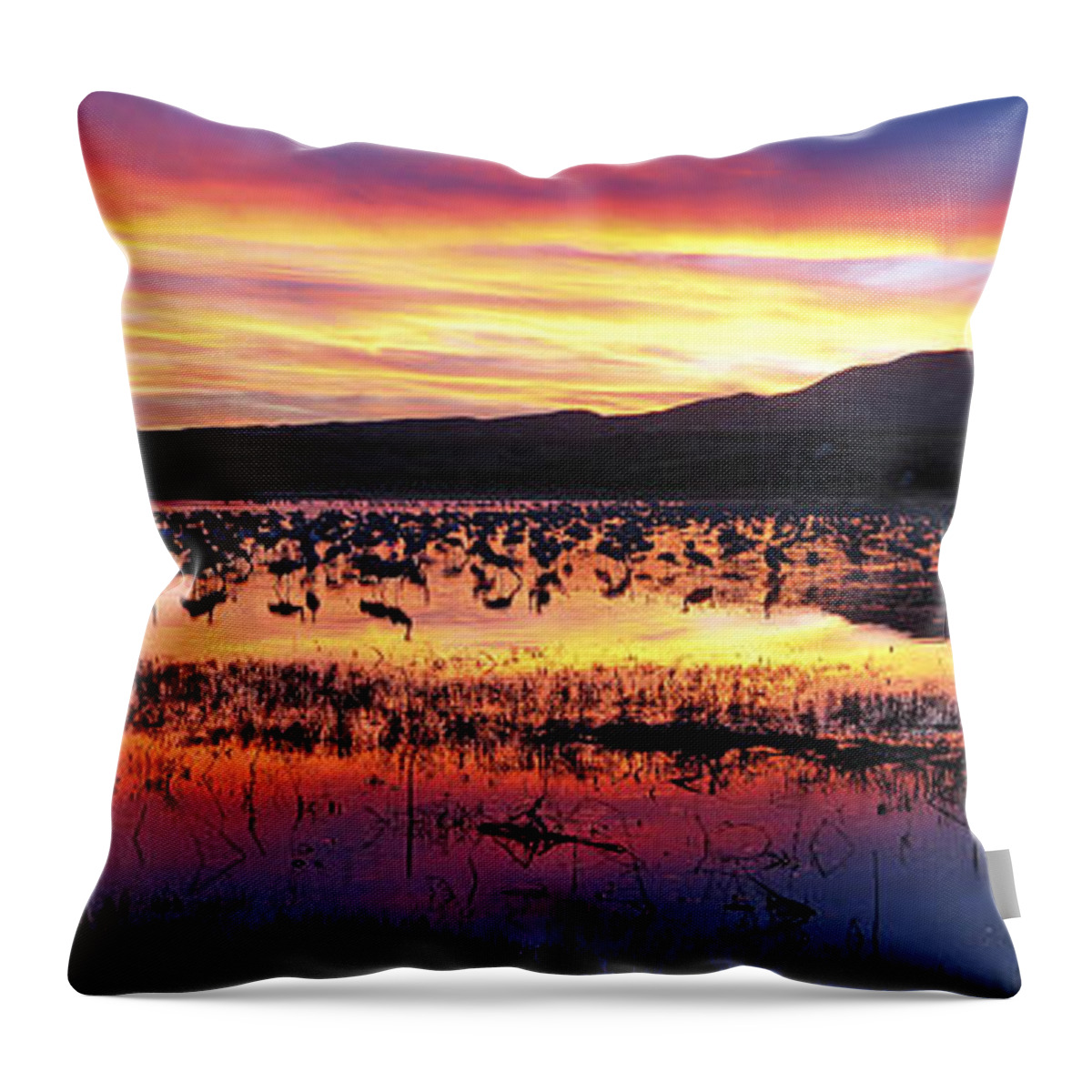 Panorama Throw Pillow featuring the photograph Bosque Del Apache by Steven Ralser