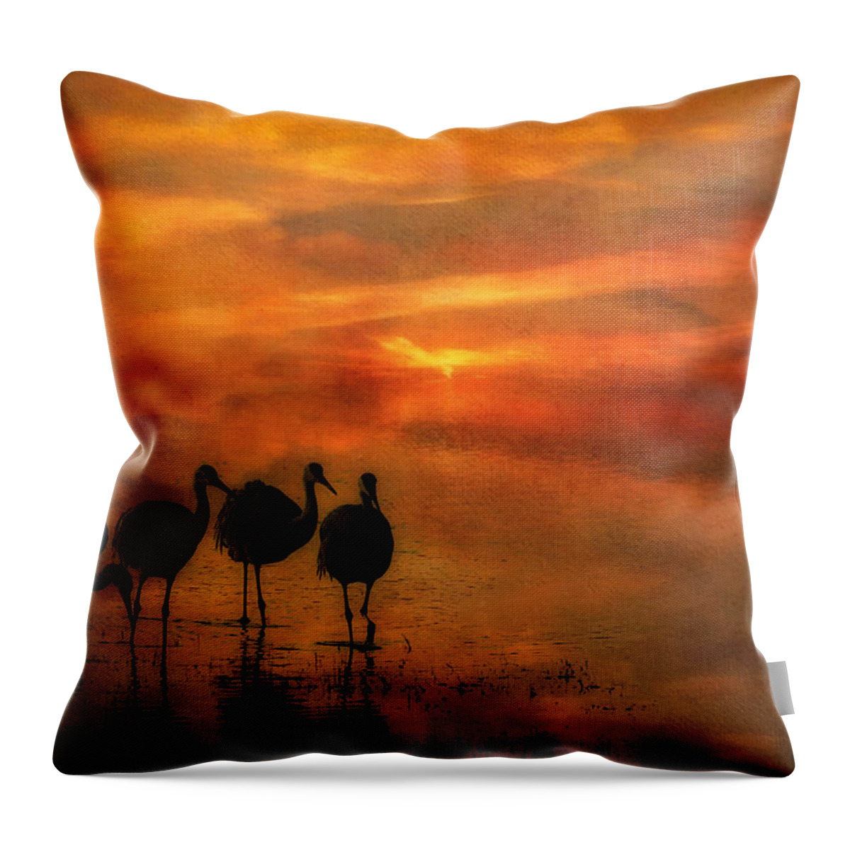 Bosque Sunset Throw Pillow featuring the photograph Bosque Sunset by Priscilla Burgers