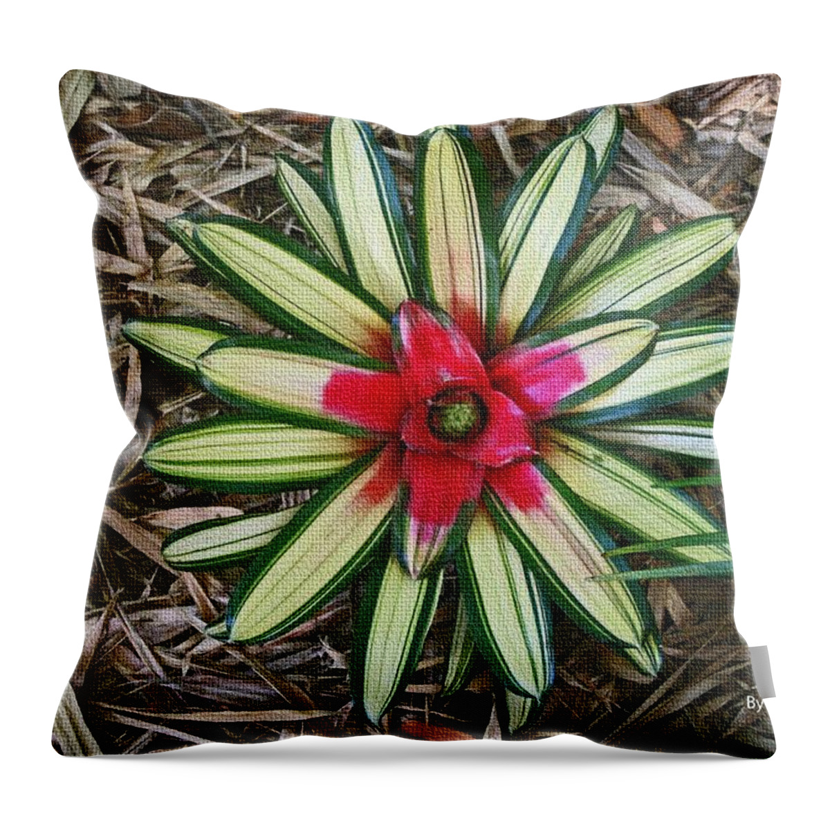 Botanical Flower Throw Pillow featuring the photograph Botanical Flower by Tom Janca