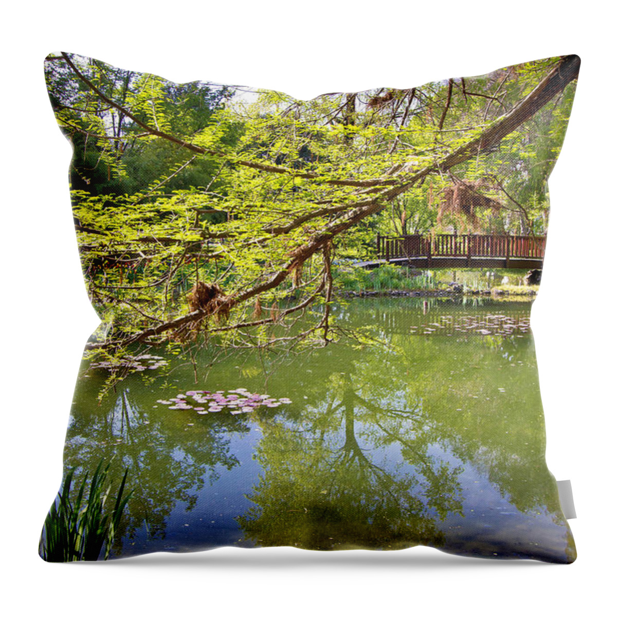 Attraction Throw Pillow featuring the photograph Botanical garden lake spring view by Brch Photography