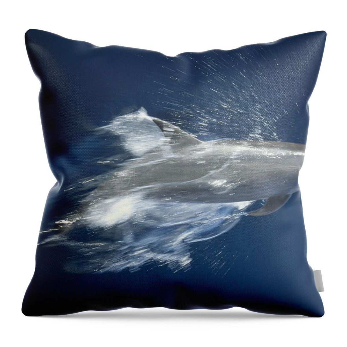 Feb0514 Throw Pillow featuring the photograph Bottlenose Dolphin Leaping Playfully by Tui De Roy