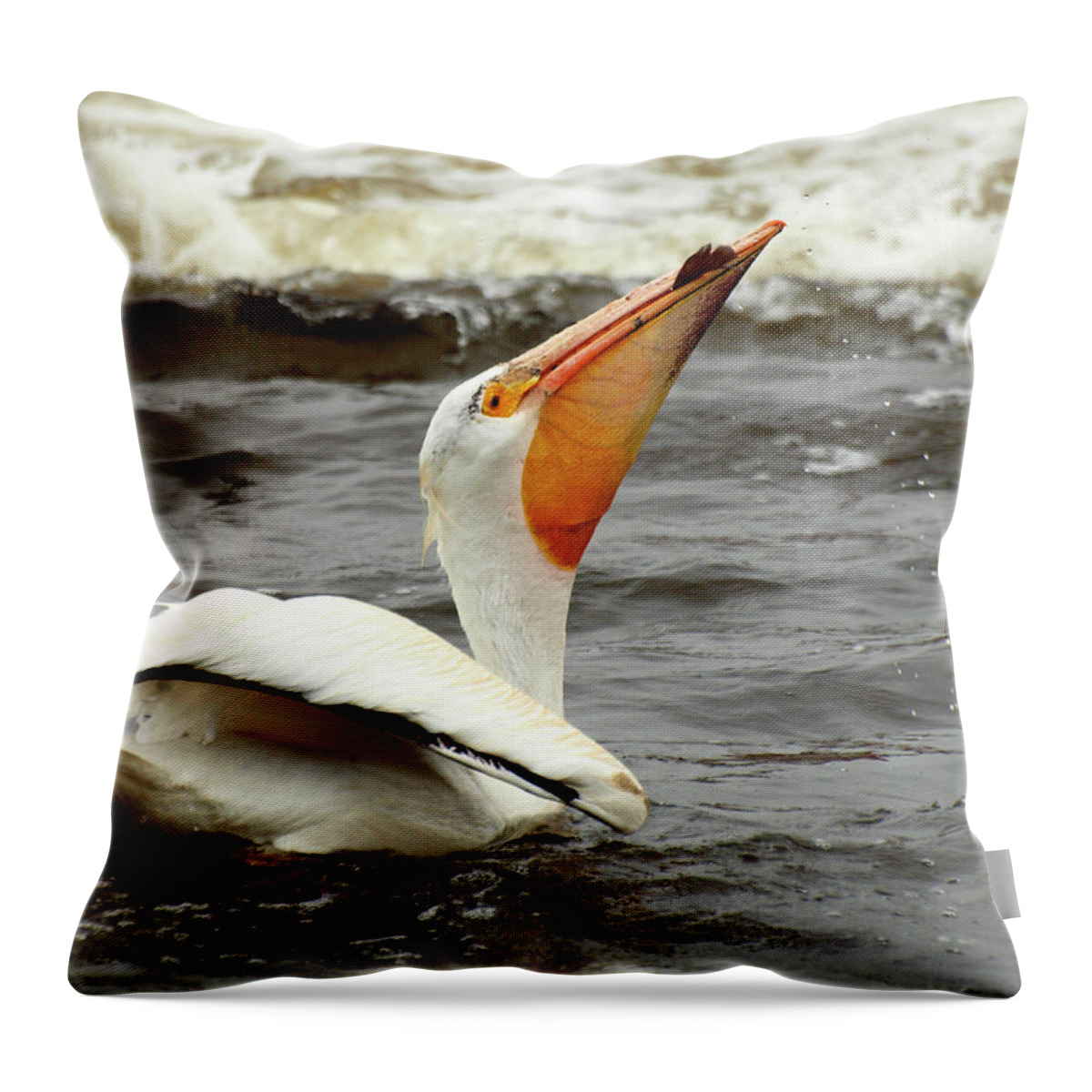 Pelican Throw Pillow featuring the photograph Bottoms Up by Thomas Young